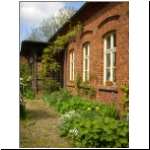 Frhling  B  Pfarrhaus  Pinnow-vor-Usedom .jpg